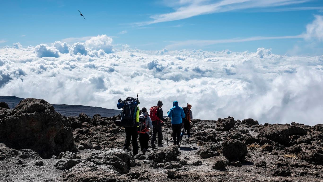 Adventure is The Real Cure