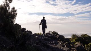 Life Happens Outdoors climber trekking down Mount Kilimanjaro on the last day, moving from the alpine meadow into the rainforest zone.
