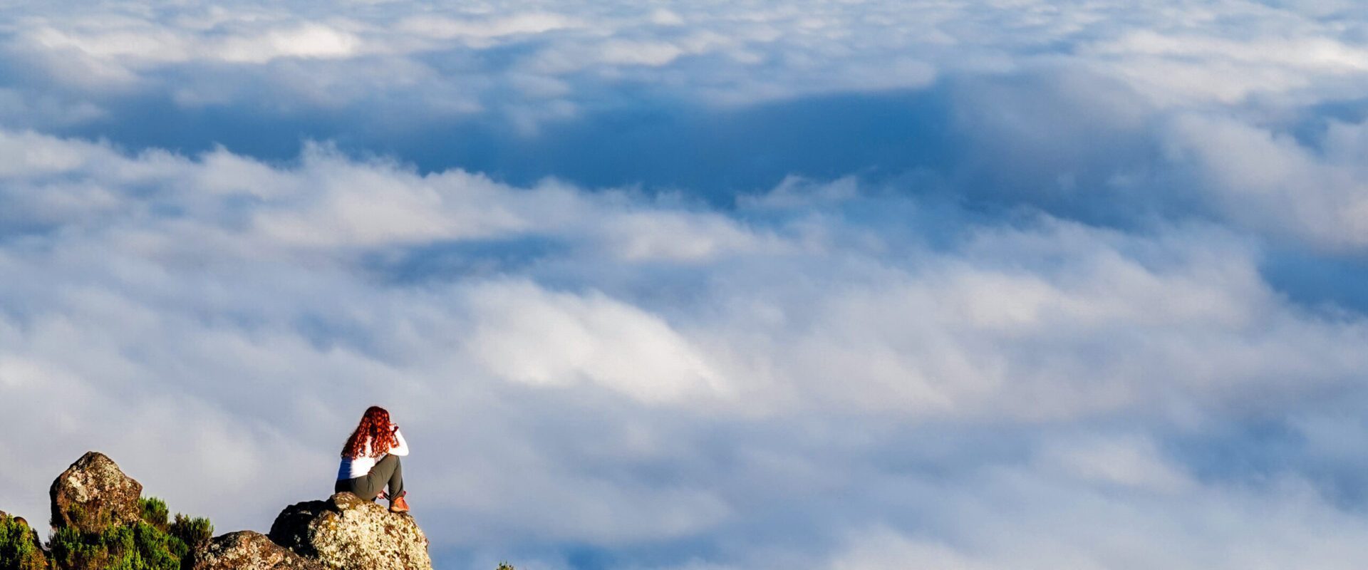 7 Reasons to Choose the Professionals