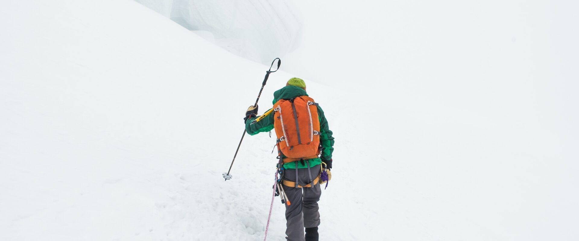 Why You Definitely Need Trekking Poles