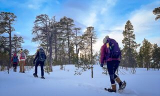 Snowshoeing in the national park on Senja Island, Norway during a northern lights adventure holiday.