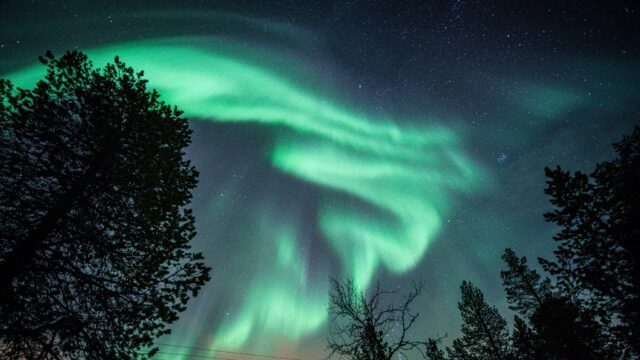 The Doughan family enjoying the northern lights on the Arctic island of Senja during the Family Adventures: Chase the Northern Lights with the Life Happens Outdoors team.