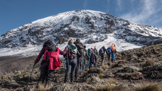 Trekkers on the way to climb kilimanjaro on a kilimanjaro tour
