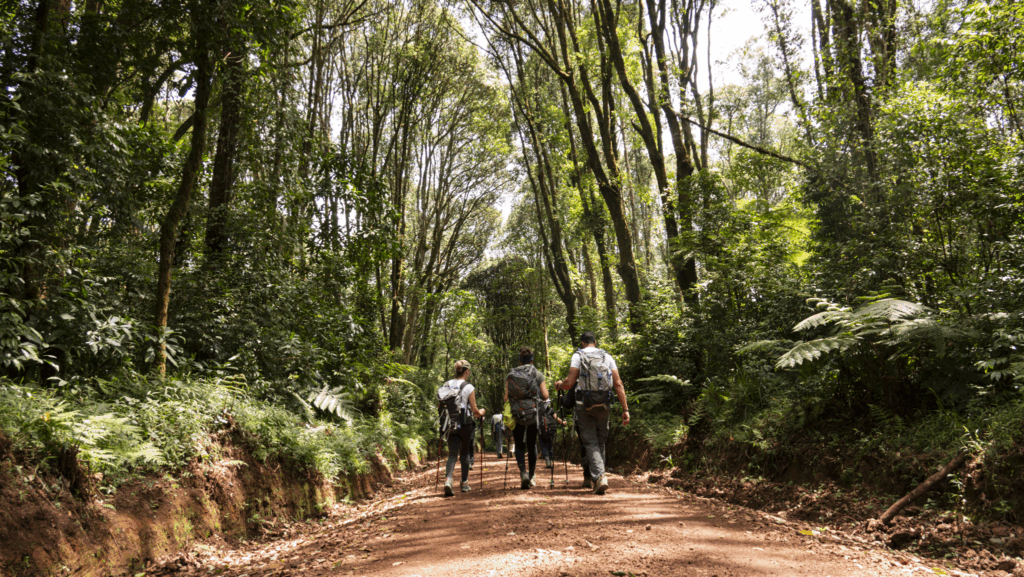 Life Happens Outdoors community members beginning their Kilimanjaro trek through the rainforest on day one of the climb